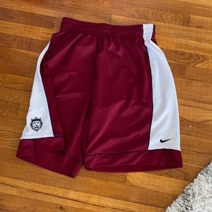 Nike lebron james shorts